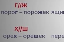 کلمه با پسوند"чик": правила написания и примеры Когда пишется суффикс щик
