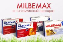 نحوه استفاده از "Milbemax" برای بچه گربه ها و گربه ها Milbemax روش دوم ناموفق بود