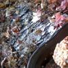 Kulesh or field millet porridge in lard, cooked over a fire