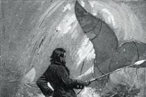 دریانوردانی که در واقع با موبی دیک ملاقات کردند چه تحمل کردند: تمام حقیقت در مورد نهنگ انتقامجوی سفید موبی دیک یا نهنگ سفید