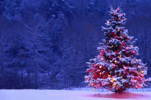 رویای درخت کریسمس مصنوعی