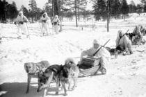 Война в карелии Карты боевых действий в карелии 1941 1945