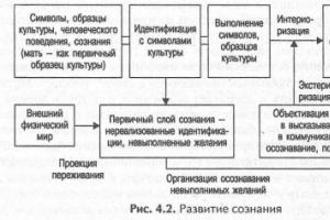 L.D. Stolyarenko، S.I. Samygin.  دیدگاه روانشناختی (PsyVision) - آزمون ها، مطالب آموزشی، کاتالوگ روانشناسان خودآگاهی به عنوان بالاترین مرحله رشد آگاهی