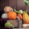 Pumpkin storage rules: choosing a suitable place and method